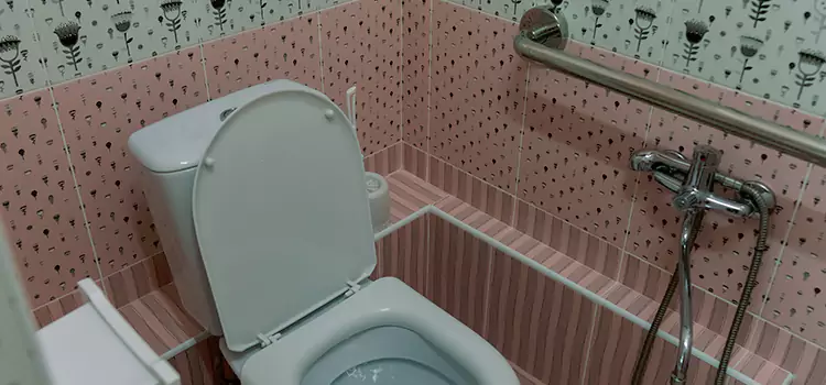Meeting Diverse Needs With Accessible Restroom Solutions in Lake Jackson, TX